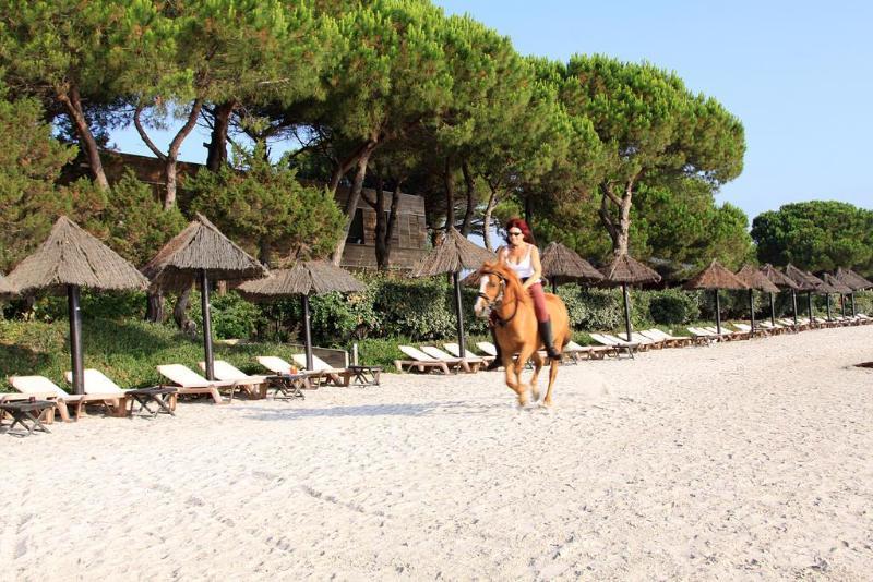 Mobydick Holiday park 3*